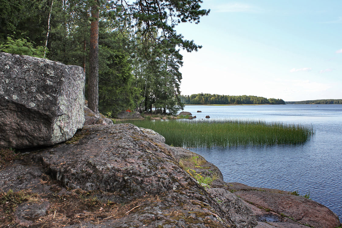 Vyborg